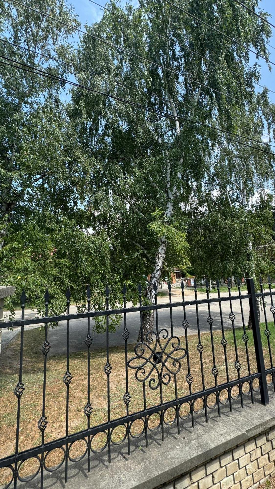 5 Haloszobas Wellness Vip House - Privat Medence Шиофок Экстерьер фото
